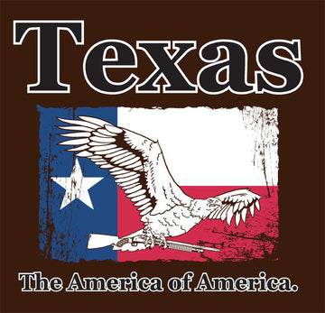 SMBC - Texas Shirt from SMBC - Webcomic Merchandise 
