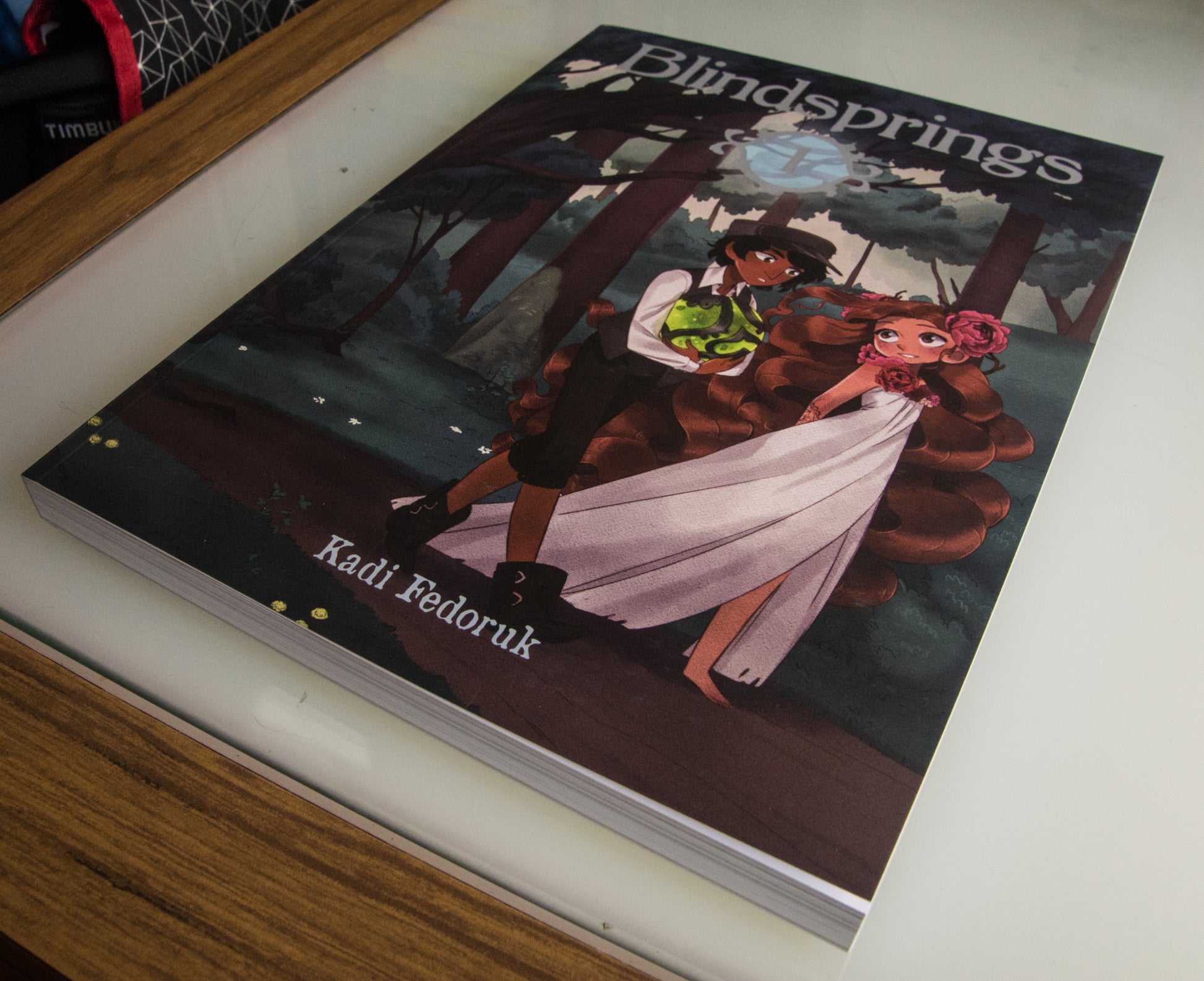 Blindsprings Book 1 - KS backer only from Blindsprings - Webcomic Merchandise 